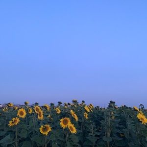 Meet your Posher, Carly